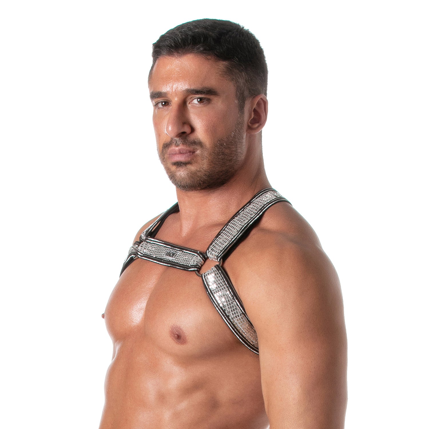 Glitter Bulldog Harness Silver