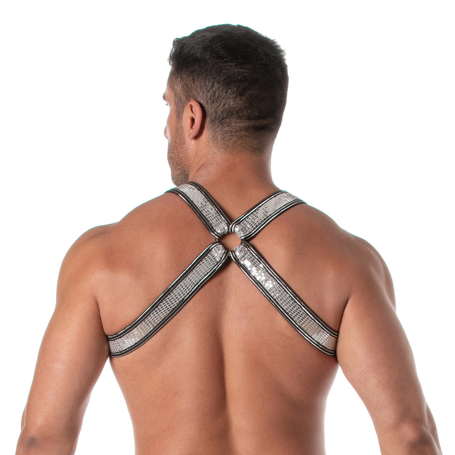 Glitter Bulldog Harness Silver