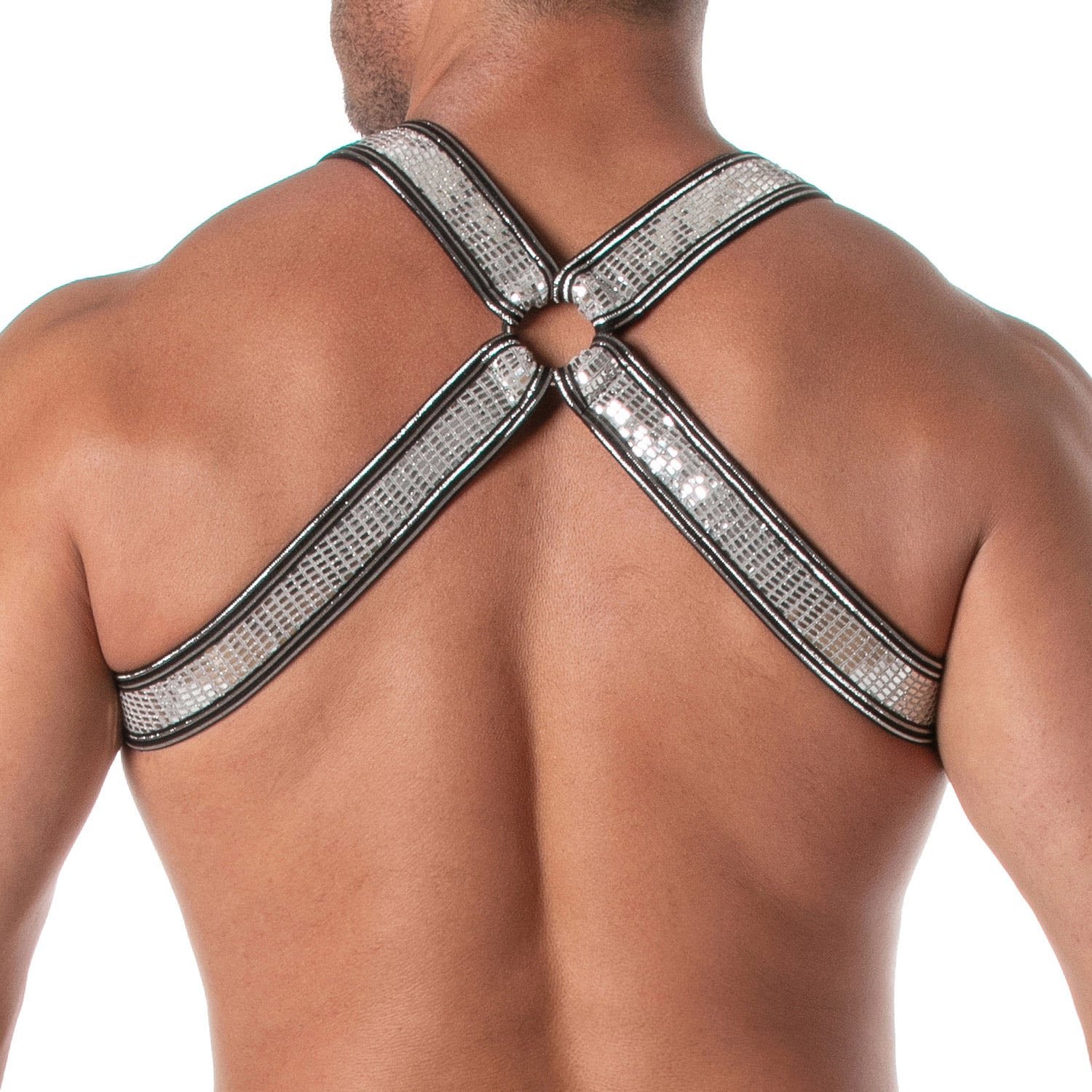 Glitter Bulldog Harness Silver