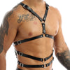 Chain Halter Harnesses
