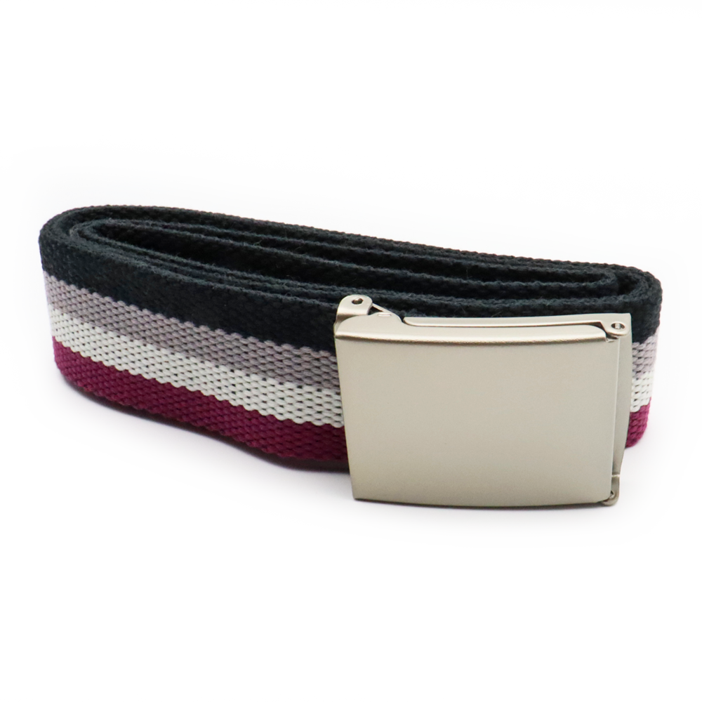 Pride Gürtel (Diversity)